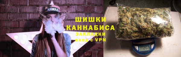 гидра Балахна