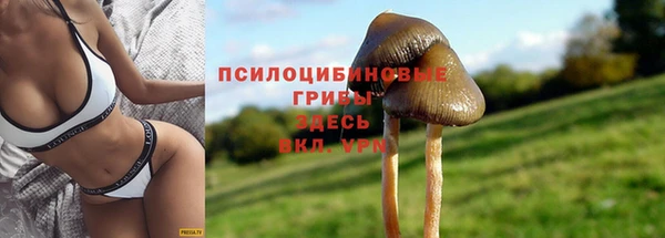 не бодяженный Баксан