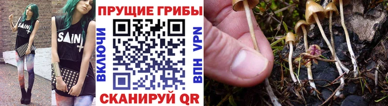 Псилоцибиновые грибы мухоморы  Купить где  Лодейное Поле 