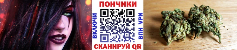 Купить закладки  Лодейное Поле  Конопля SATIVA & INDICA 